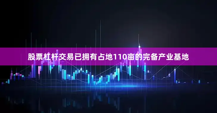 股票杠杆交易已拥有占地110亩的完备产业基地