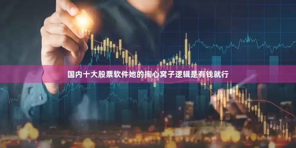 国内十大股票软件她的掏心窝子逻辑是有钱就行